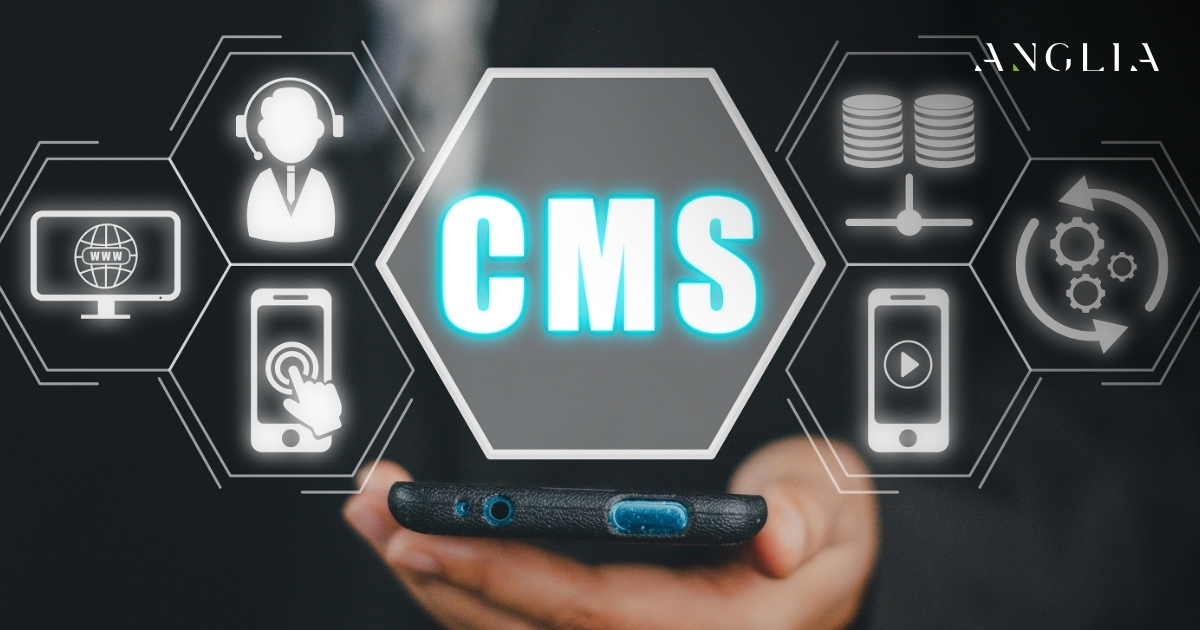 CMS Explained: Benefits of Content Management System HK | ANGLIA