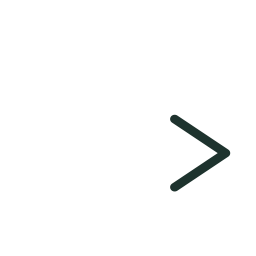 web-4